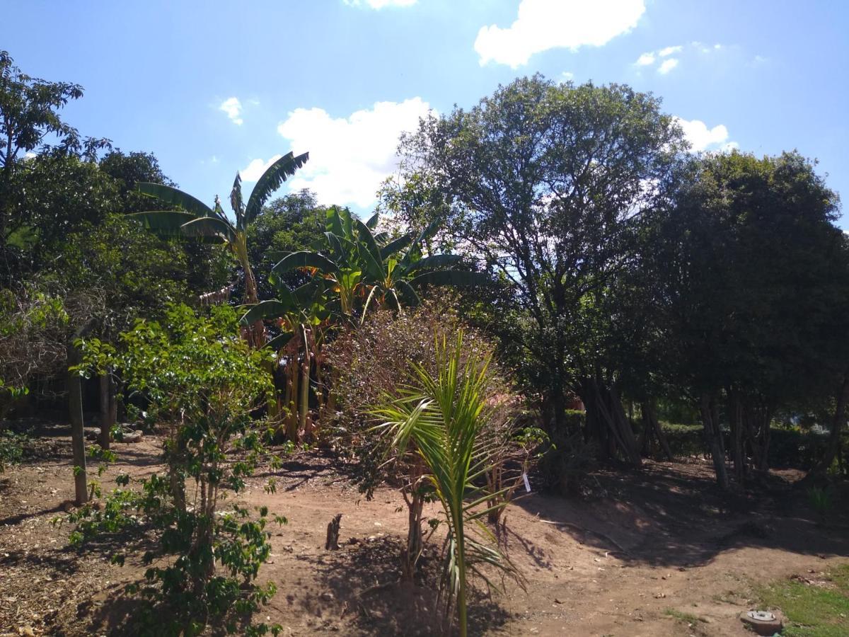 Paraiso Em Serra Negra Lindoia Com Linda Paisagem Eksteriør bilde
